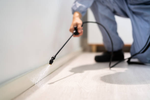 Licensed Exterminator service in Vauxhall, NJ - Show Me Pest Control