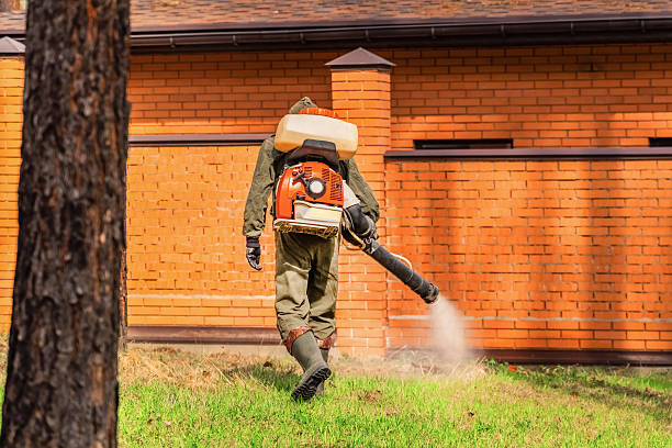 Bed Bug Clearance Verification and Documentation in Vauxhall